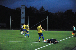 Varfjell - Dahle 2022